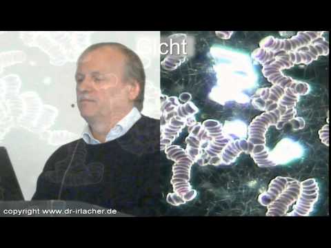 Dr. med. Walter Irlacher Vortrag Teil 2