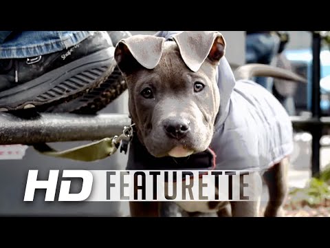 The Drop | Rocco The Puppy | Featurette HD