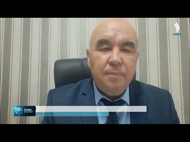 Kazakistan bilim insanları soğuğa dayanıklı kışlık buğday çeşidi yetiştirdi