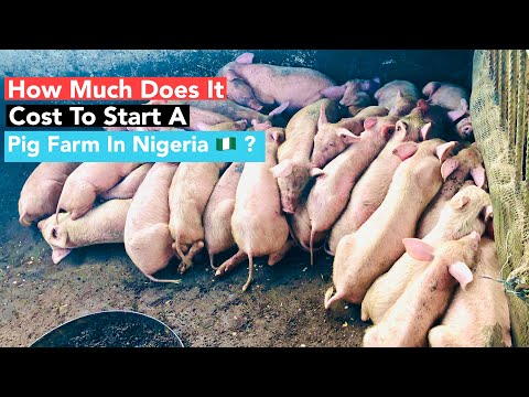 , title : 'How Much Does It Cost To Start A Pig Farm In Nigeria?'