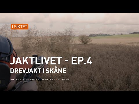 Jaktlivet ⎮ Ep.4 ⎮ Drevjakt i skåne