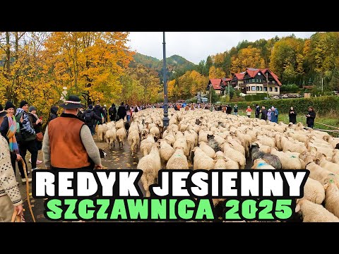 Autumn REDYK SZCZAWNICA 2025 [4k]