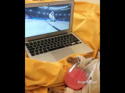 The rich tom life style best moment funny video