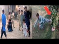 Cowboy Prank I Just Want To Say Hi Lol Lelucon Statue Prank Luco Patung