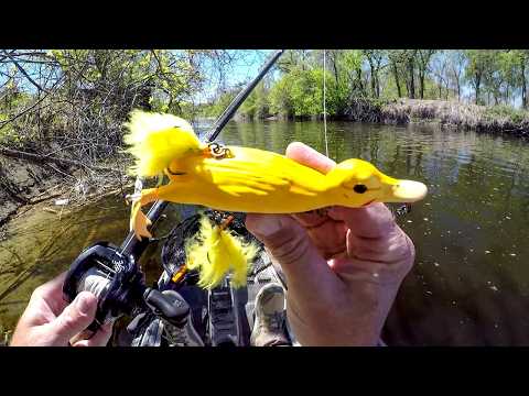 The Duck Lure Catches MONSTERS!