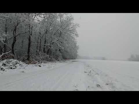 4K Winter Hike through Snowy Forest with snow crunch sound