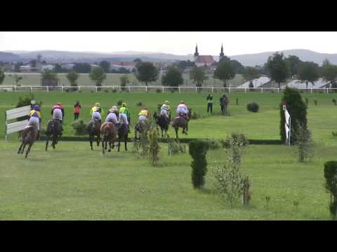 BR, 20. 6. 2015, 7. dostih - Letní brněnská steeplechase firmy CHARVÁT GROUP s.r.o.