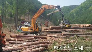 임업기계를 이용한 목재수확 - 홍천국유림관리소