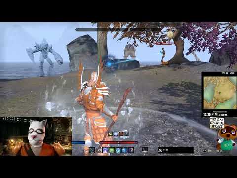 My Build: The Magicka Warden