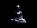 2 Minute Stop Meditation By Osho