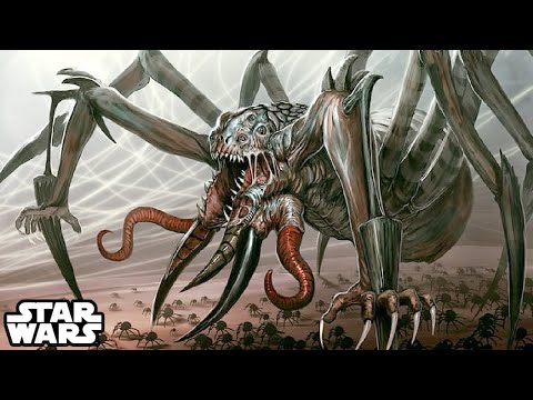 Things Can Get REALLY WEIRD  in the Unknown Regions - Star Wars Explained