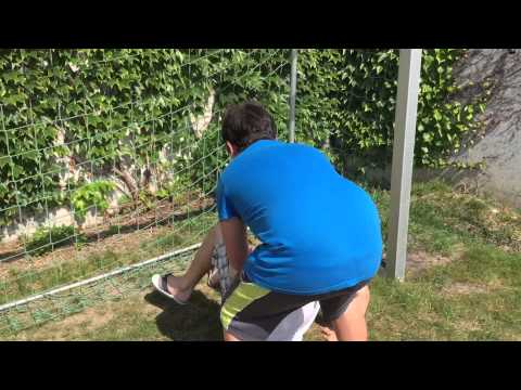 Haribo und der Hunger ist gegessen