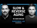 Essentials The Biology Of Slowing Reversing Aging Dr David Sinclair