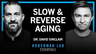 Essentials: The Biology of Slowing & Reversing Aging | Dr. David Sinclair