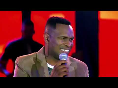 Pique Novo - Pelúcia