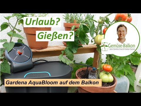 Gardena AquaBloom - Was kann die automatische Urlaubsbewässerung mit Solarpumpe?