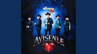 Avísenle