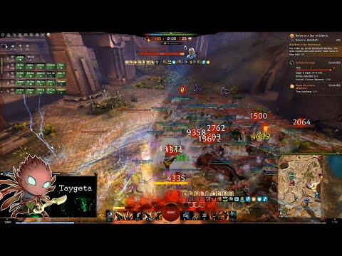 GW2 WvW - Power Berserker - Massive Cleave Damage!