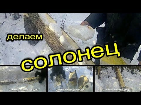 Делаем солонец топором