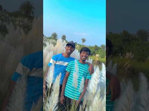 Bode reho ban gada dah #santhali #shortvideo #newsantali #newsantali #santhali_short_video