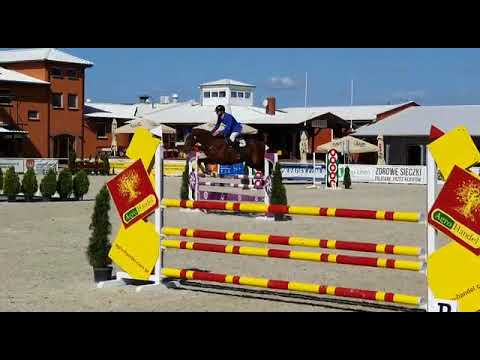 Lacjum (Vittorio x Lawito) 2019/09/06 I półfinał SCMK Olsza - 115cm I SPRZEDANY / SOLD