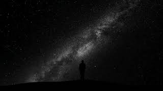 the mystical words of the wise - Root