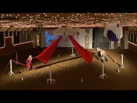 Magical World of Dancing Horses - Great Showman Act /2021