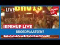 IEPENUP LIVE: Broedplaatsen? Waarom eigenlijk?