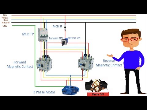 3 Phase Motor Forward Reverse Mini Changeover | 3 phase Motor | Changeover