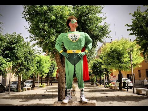 PierCat feat Notti Fyah - Fashion Weed (Official Video)