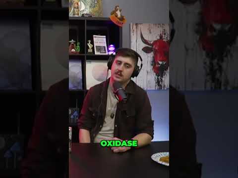 Magic Mushrooms & Chocolate: A Psychedelic Trip Hack!