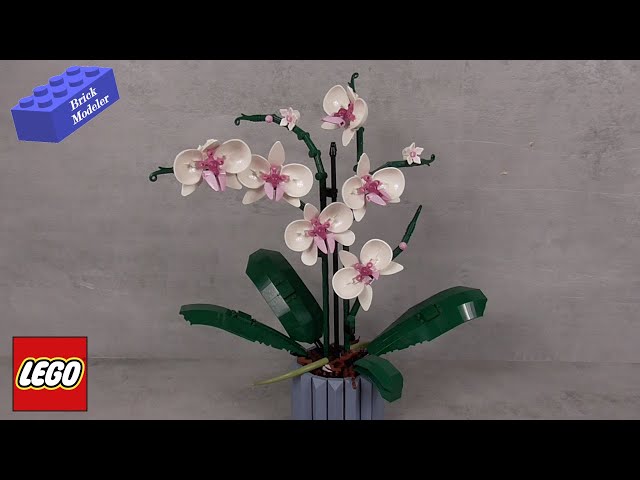 Vídeo relacionado con LEGO Botanicals Orchid - Artificial Plant Set for Adults Incl. Faux Flowers and a Buildable Vase - Home Office Decor - Gift Idea for Women and Men - 10311