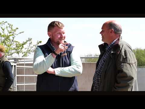 Defra funded project delivered by Innovate UK exploring Low Carbon Beef Production