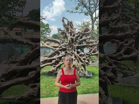 Conmemoración del Día Mundial de las Enfermedades Huerfanas