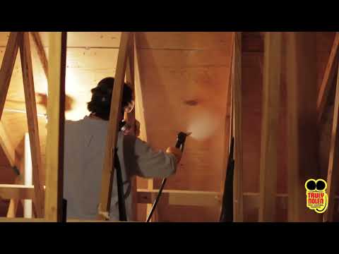 IS YOUR ATTIC PROTECTED FROM TERMITES?