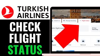 How to Check Flight Status Turkish Airlines 2025 (QUICK GUIDE)