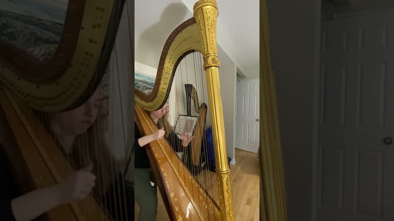 Promotional video thumbnail 1 for Hannah Warren, Harpist