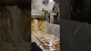 sugarcane process