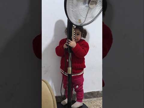 حدا شاف ميلا وين متخبيه عجب🤣😂 #رموش #فاميلي #ميلا