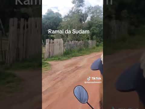 ramal da sudam Itacoatiara Amazonas 🐾🐆