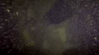 preview picture of video 'nurkowanie - Svobodne Hermanice 04 sierpnia 2013 - GoPro 3 BLACK'