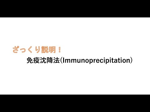 Pyxicephilus edulisについて詳しく解説