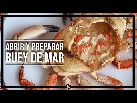 Abrir y limpiar un buey de mar 🦀 Preparación paso a paso