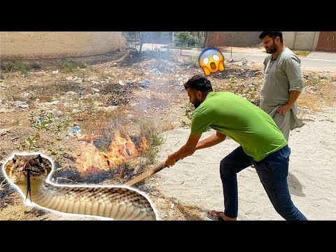 Hmare Ghar Main Snake Tha 😱