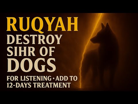 Ruqyah to Destroy Magic of Dogs ✨ Powerful Sihr Healing