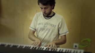 Anže Vrabec - mojster klavirja v Ozlinki