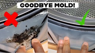 Laundry Maintenance | Mold in Front Load Washing Machine