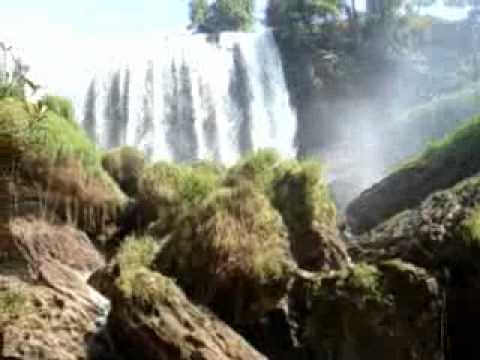 Elefant Vattenfallet