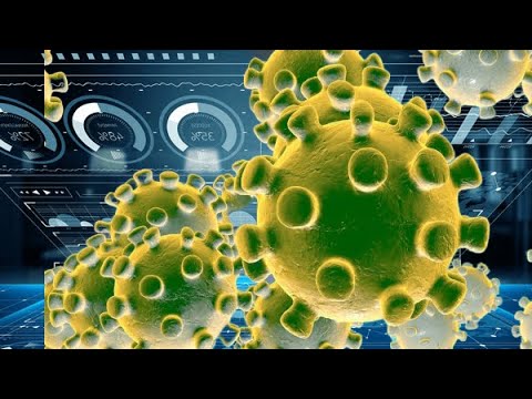 The most informative Coronavirus data visualization on the internet. Updated on 2020-02-24