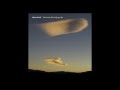 Etherwheel - Theremin & Hurdy-Gurdy